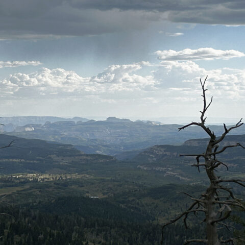 Zions Park from Highway 14