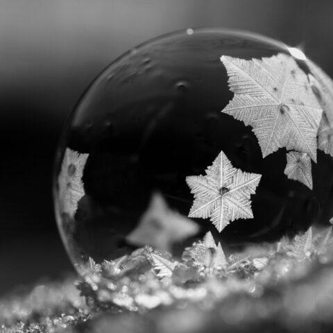 Crystal flakes on bubble
